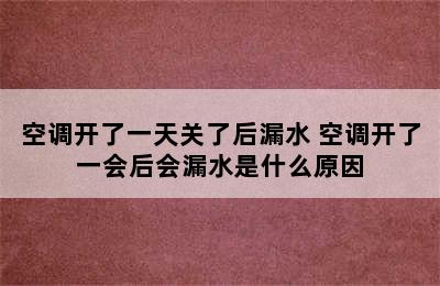 空调开了一天关了后漏水 空调开了一会后会漏水是什么原因